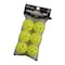Champion Sports Recreational Indoor Pickleball Set, 6 Per Set, 2PK PB6INDSET - alternate 2